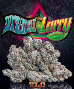 Triangle Larry 1/8oz Jungleboys