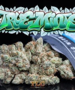 Truemints 1/8oz Jungleboys