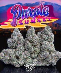 Purple Sunset 1/8oz Jungleboys