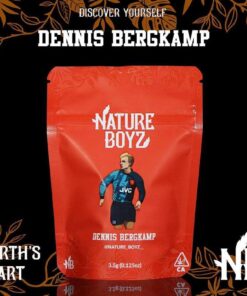Dennis Bergkamp NatureBoyz